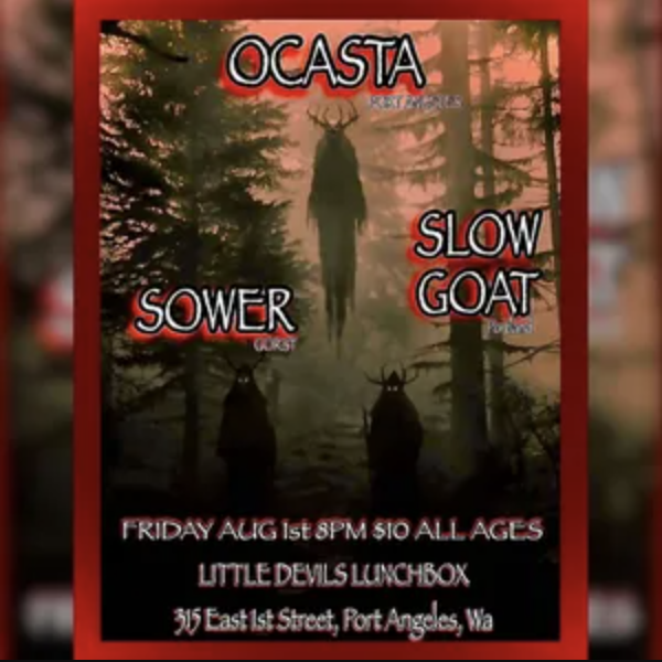 Promotional poster for a music event featuring Ocasta, Slow Goat, and The Sower at Little Devils Lunchbox.