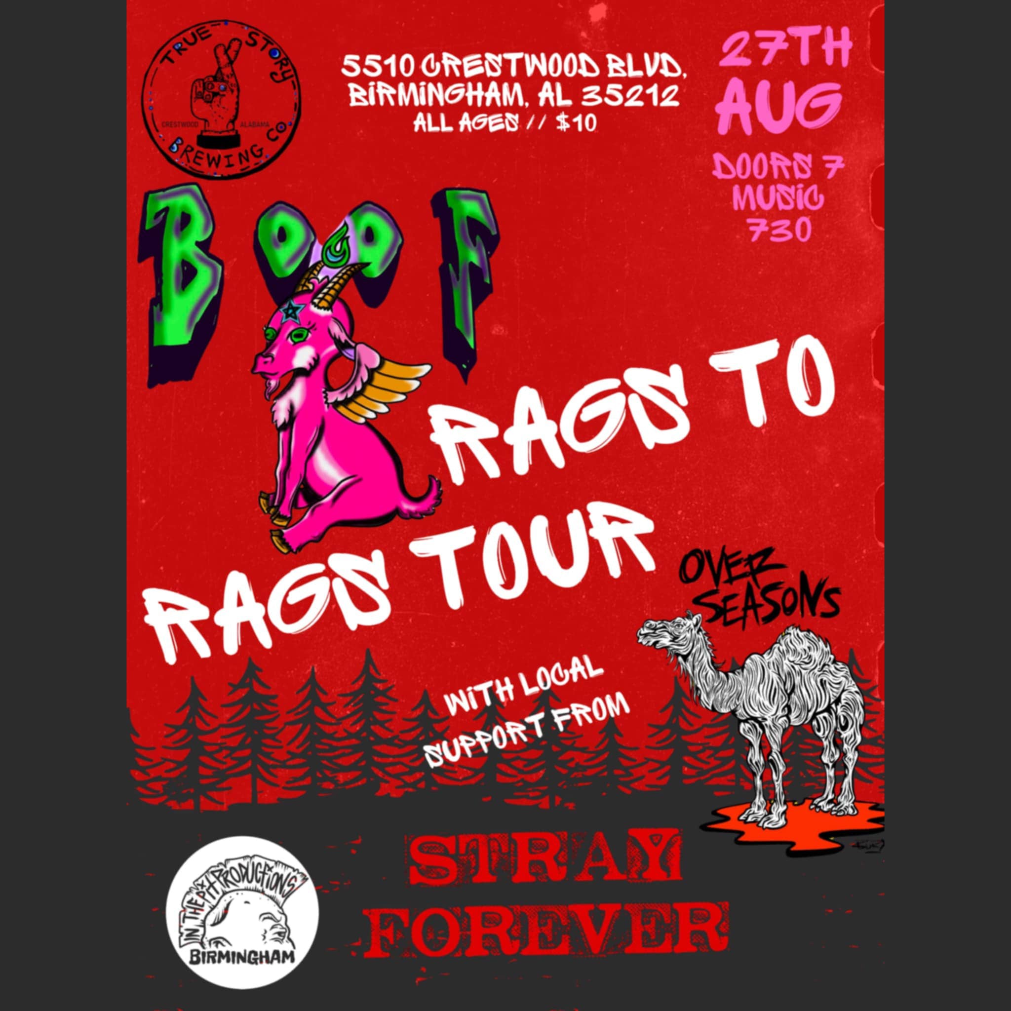 Promotional poster for a music tour featuring 'Rags to Rags Tour' with 'Stray Forever' on a red background.