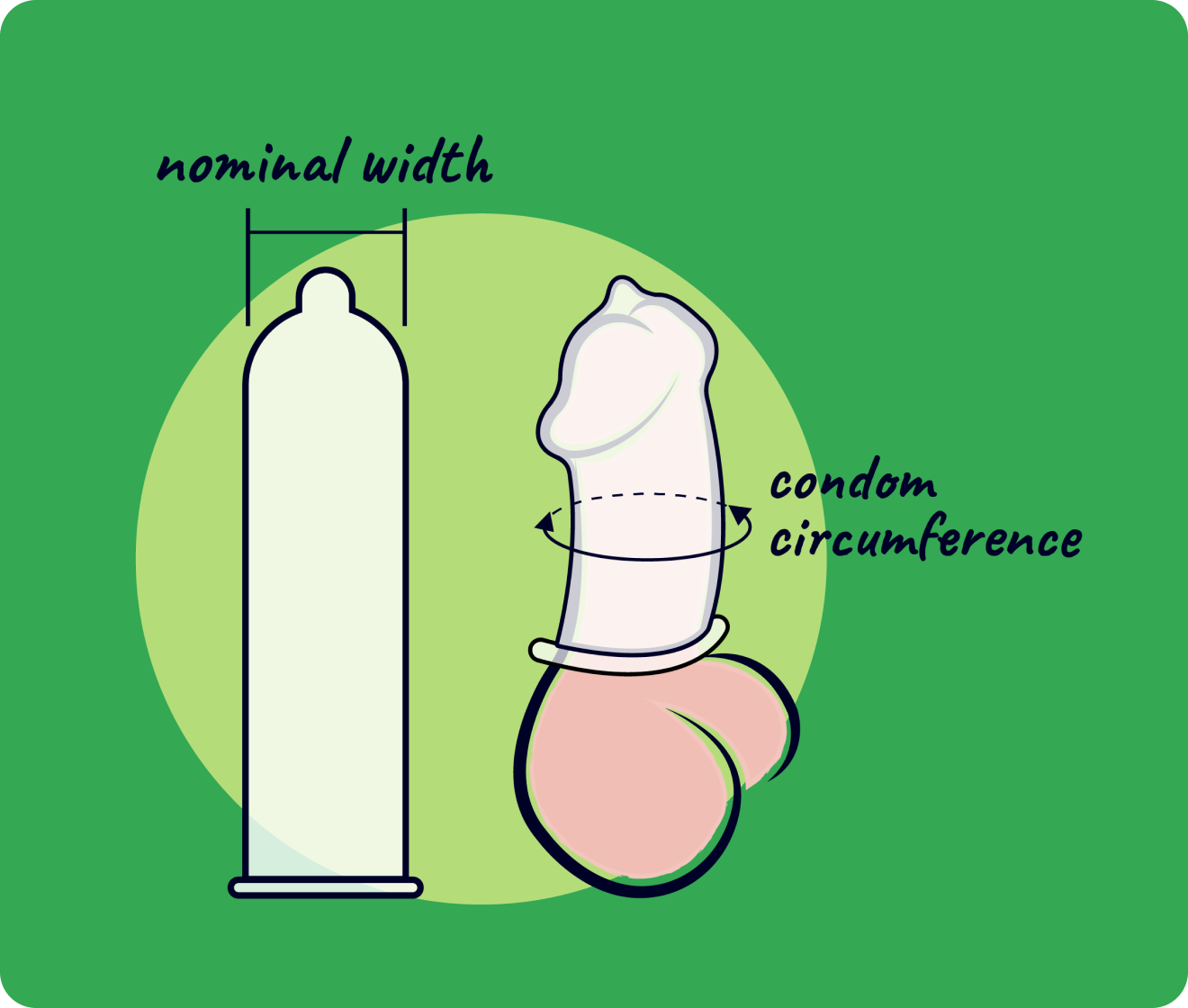 nominal width and condom circumference icon with green background