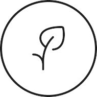 Simple line drawing of a leaf in a circular outline